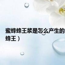 蜜蜂蜂王浆是怎么产生的(蜜蜂蜂王)