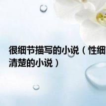 很细节描写的小说(性细节描写清楚的小说)