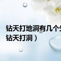 钻天打地洞有几个生肖（钻天打洞）