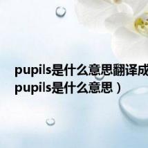 pupils是什么意思翻译成中文(pupils是什么意思)