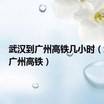 武汉到广州高铁几小时(武汉到广州高铁)