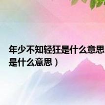 年少不知轻狂是什么意思(轻狂是什么意思)