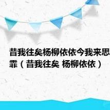 昔我往矣杨柳依依今我来思雨雪霏霏(昔我往矣 杨柳依依)