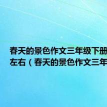 春天的景色作文三年级下册350字左右(春天的景色作文三年级)