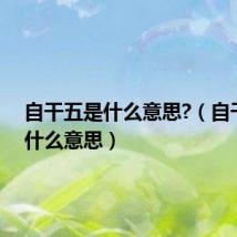 自干五是什么意思?(自干五是什么意思)