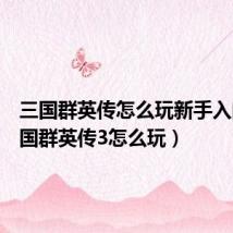 三国群英传怎么玩新手入门(三国群英传3怎么玩)