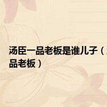 汤臣一品老板是谁儿子(汤臣一品老板)