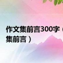 作文集前言300字(作文集前言)