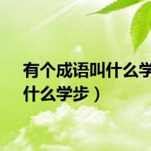 有个成语叫什么学步（什么学步）