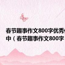 春节趣事作文800字优秀作文高中(春节趣事作文800字)