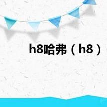 h8哈弗（h8）