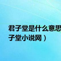 君子堂是什么意思（君子堂小说网）