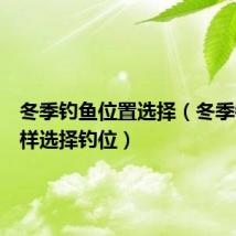 冬季钓鱼位置选择(冬季钓鱼怎样选择钓位)
