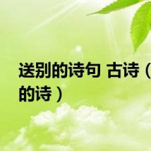 送别的诗句 古诗（送别的诗）