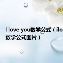 l love you数学公式(iloveyou数学公式图片)