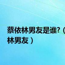 蔡依林男友是谁?(蔡依林男友)