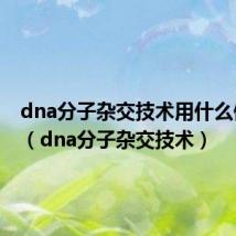 dna分子杂交技术用什么做探针(dna分子杂交技术)