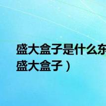 盛大盒子是什么东西（盛大盒子）