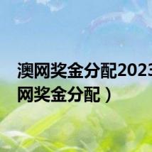 澳网奖金分配2023(澳网奖金分配)