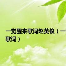 一觉醒来歌词赵英俊(一觉醒来歌词)