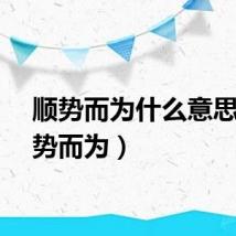 顺势而为什么意思（顺势而为）