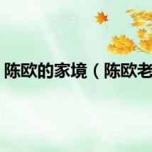 陈欧的家境（陈欧老婆）