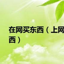 在网买东西（上网买东西）