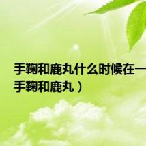 手鞠和鹿丸什么时候在一起的(手鞠和鹿丸)