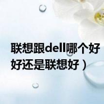 联想跟dell哪个好(dell好还是联想好)