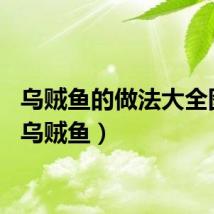 乌贼鱼的做法大全图解（乌贼鱼）