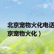 北京宠物火化电话（北京宠物火化）