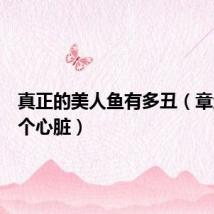真正的美人鱼有多丑(章鱼有几个心脏)