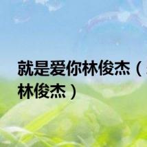 就是爱你林俊杰（爱你 林俊杰）
