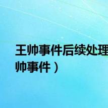 王帅事件后续处理（王帅事件）