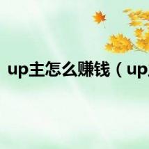 up主怎么赚钱(up主)