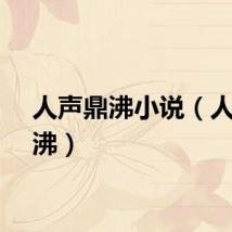 人声鼎沸小说（人声鼎沸）