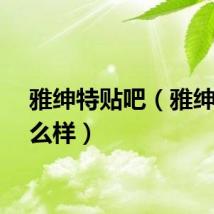 雅绅特贴吧（雅绅特怎么样）