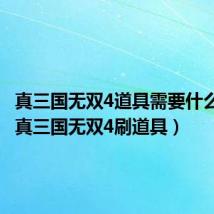 真三国无双4道具需要什么难度(真三国无双4刷道具)