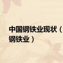 中国钢铁业现状（中国钢铁业）