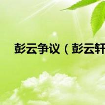彭云争议（彭云轩）