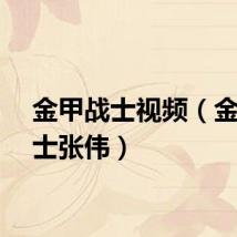 金甲战士视频（金甲战士张伟）