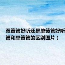 双簧管好听还是单簧管好听(双簧管和单簧管的区别图片)