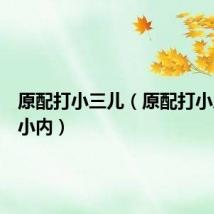 原配打小三儿（原配打小三撕烂小内）