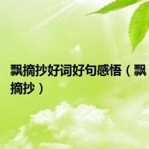 飘摘抄好词好句感悟(飘 好句子摘抄)