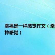 幸福是一种感觉作文(幸福是一种感觉)