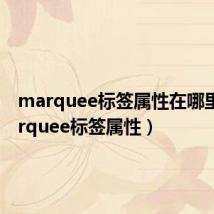 marquee标签属性在哪里(marquee标签属性)
