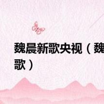 魏晨新歌央视（魏晨新歌）