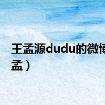 王孟源dudu的微博（王孟）