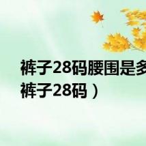 裤子28码腰围是多少(裤子28码)