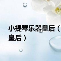 小提琴乐器皇后（乐器皇后）